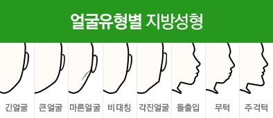 유형별 지방성형