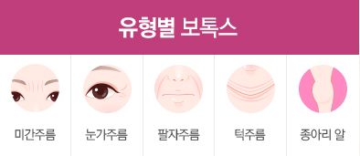 유형별 지방성형